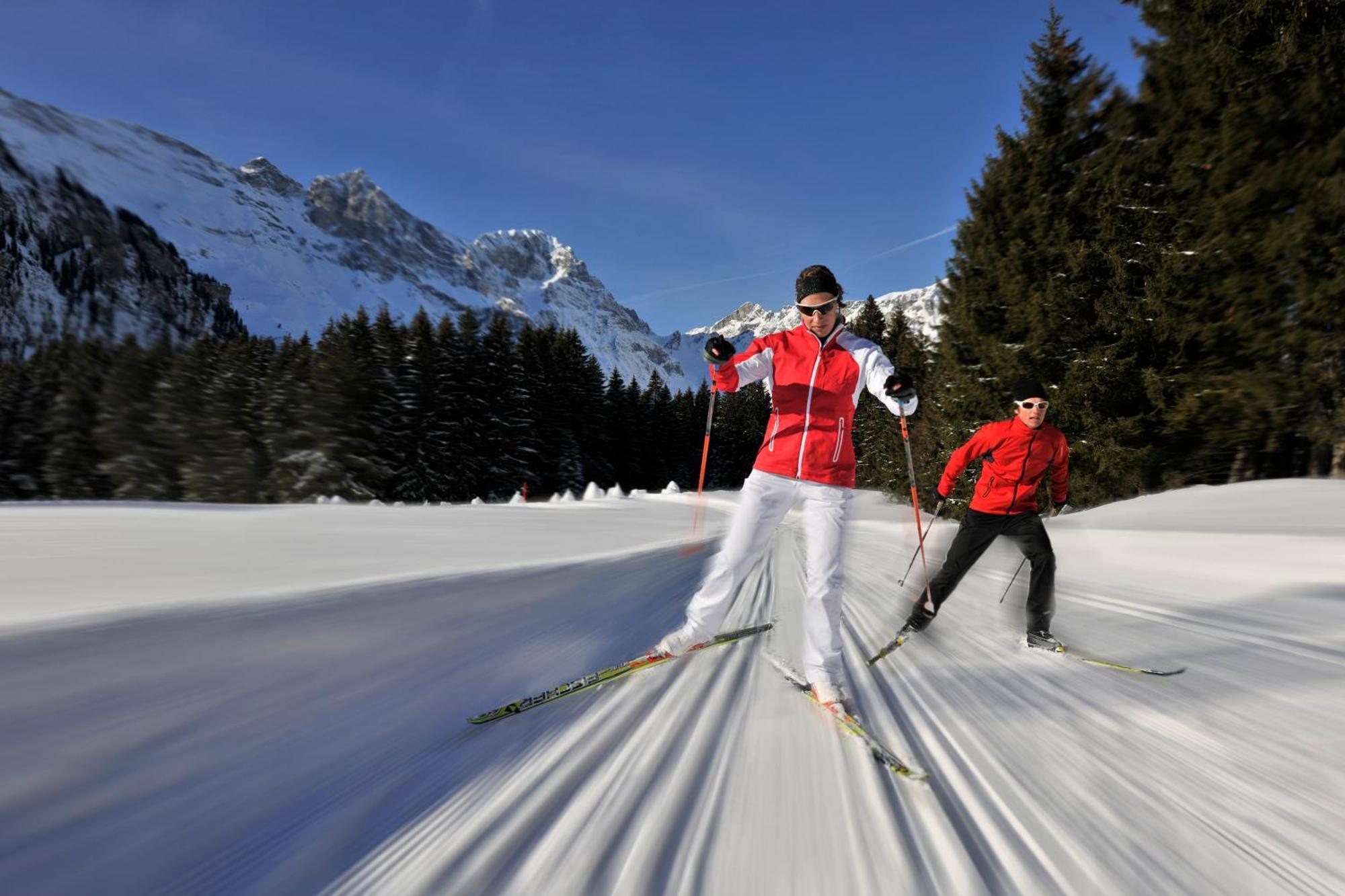 Hotel Waldegg - Adults Only Engelberg