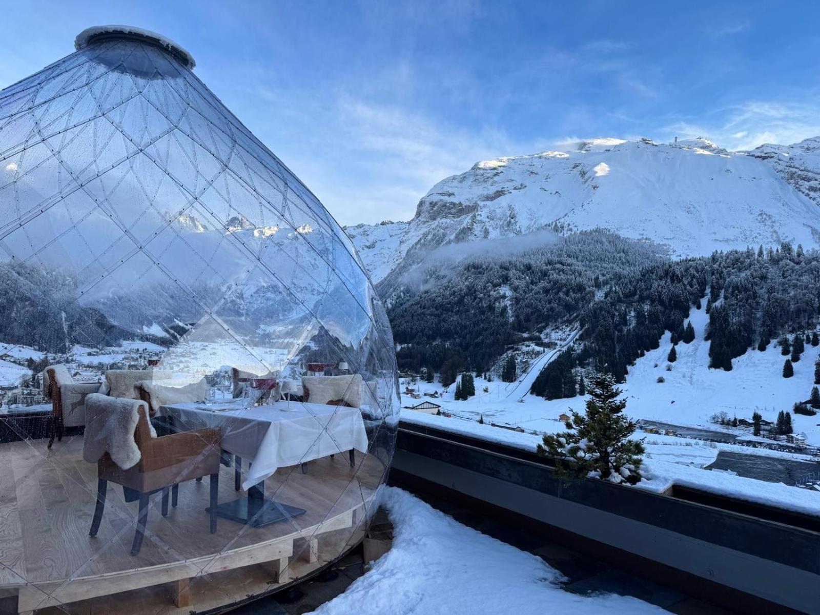 Hotel Waldegg - Adults Only Engelberg